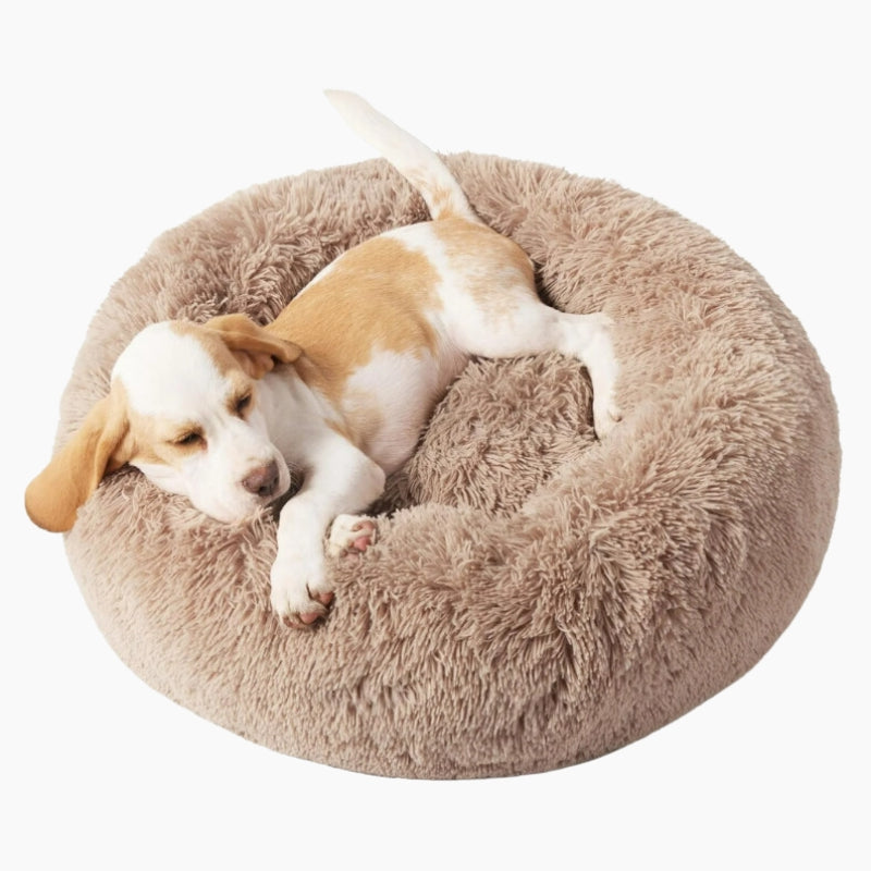 Calming Pet Bed Comfort