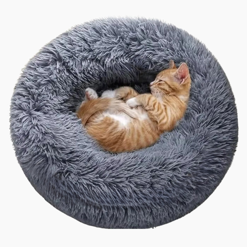 Calming Pet Bed Comfort